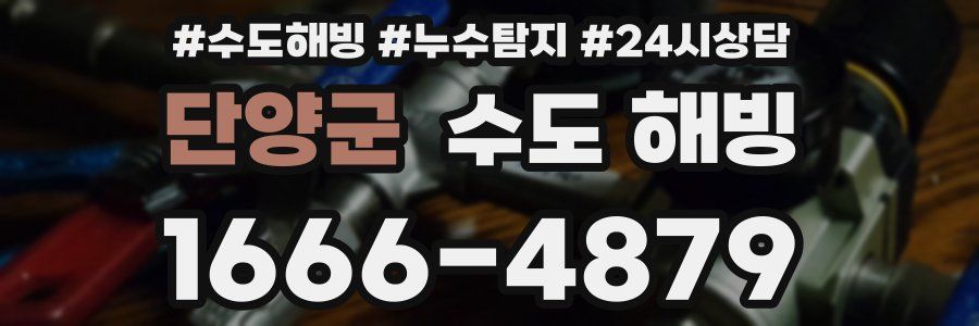 단양군 수도 해빙