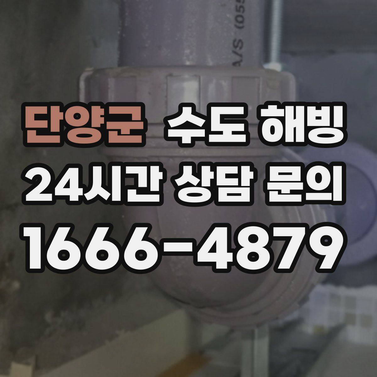 단양군 수도 해빙