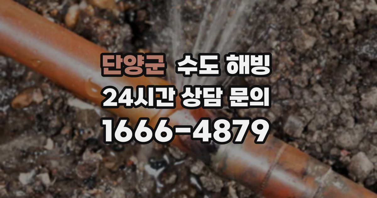 단양군 수도 해빙