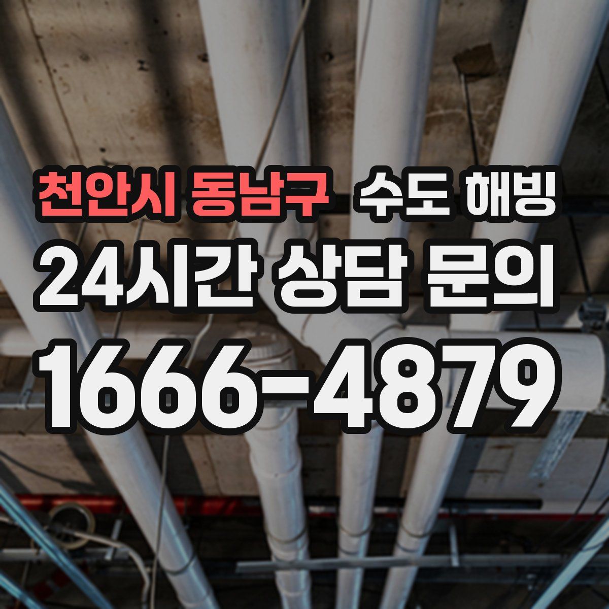 천안시 동남구 수도 해빙