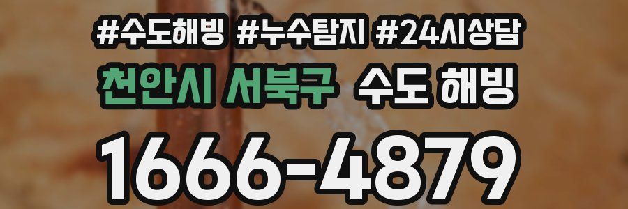 천안시 서북구 수도 해빙