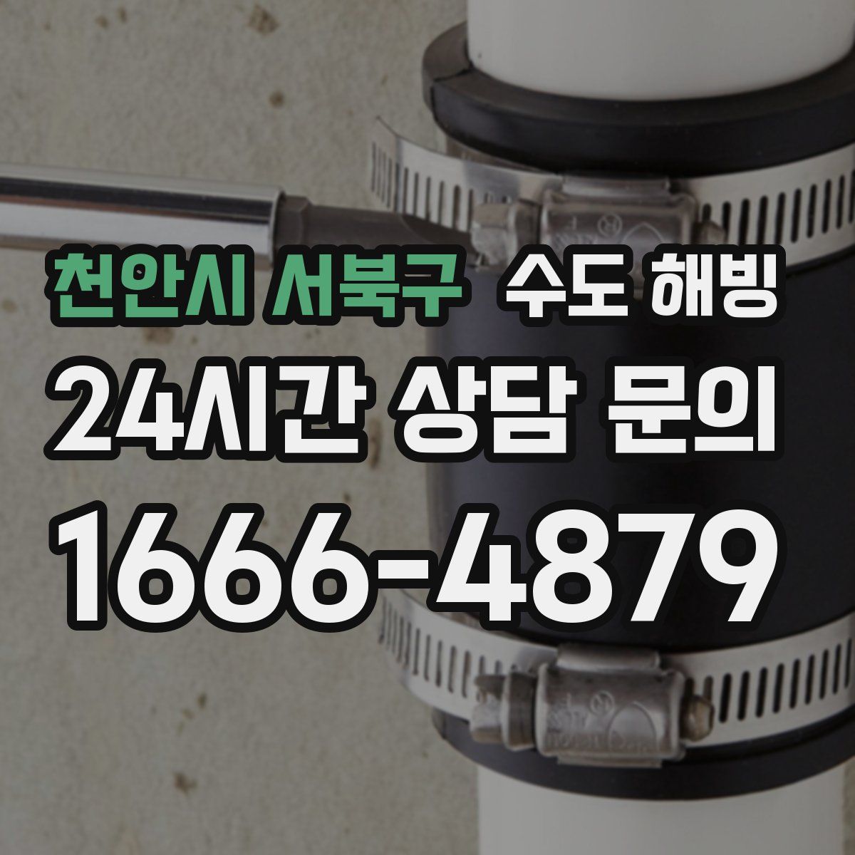 천안시 서북구 수도 해빙