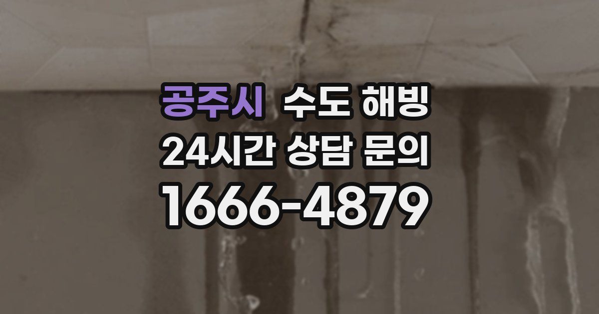 공주시 수도 해빙