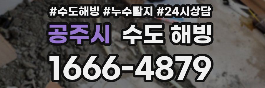 공주시 수도 해빙