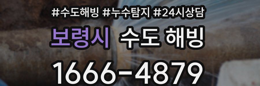 보령시 수도 해빙