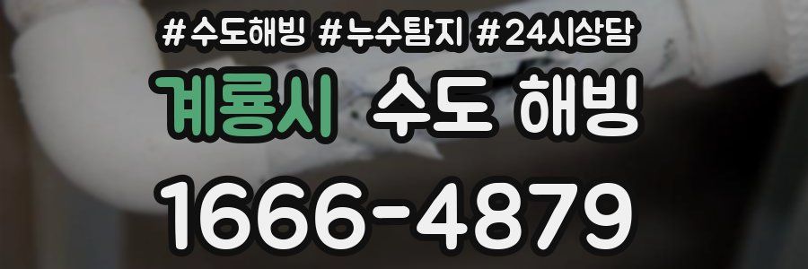 계룡시 수도 해빙