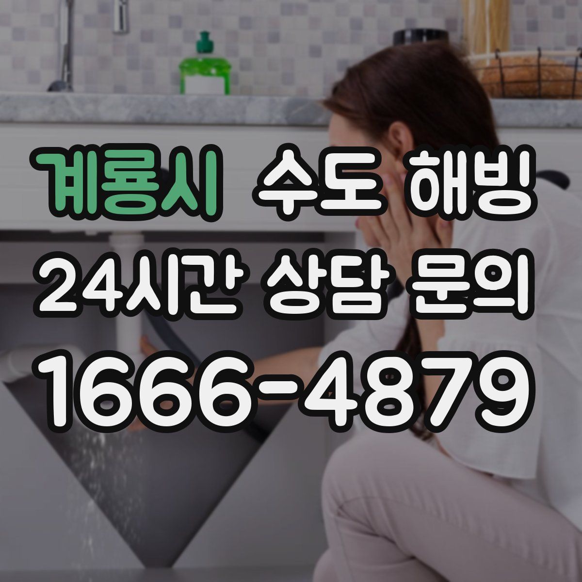 계룡시 수도 해빙