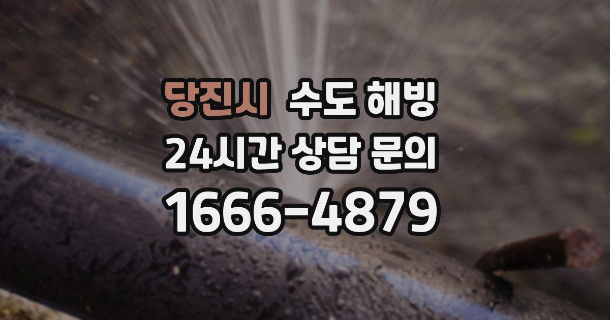 당진시 수도 해빙