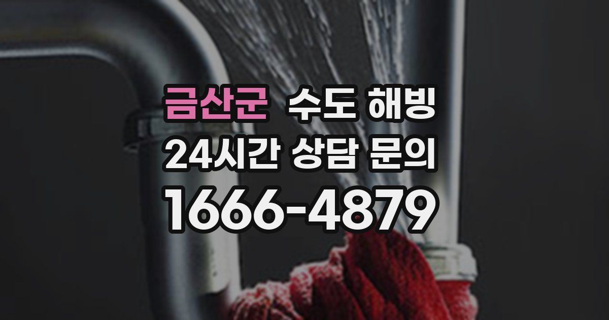 금산군 수도 해빙