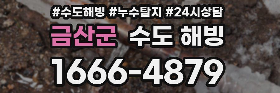 금산군 수도 해빙