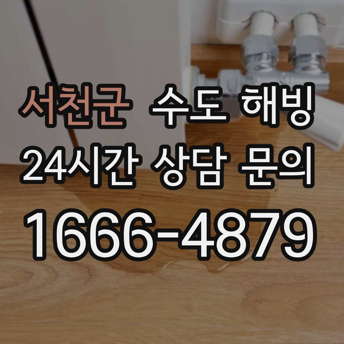 서천군 수도 해빙