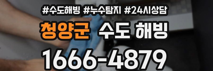 청양군 수도 해빙