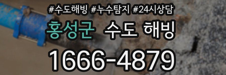 홍성군 수도 해빙