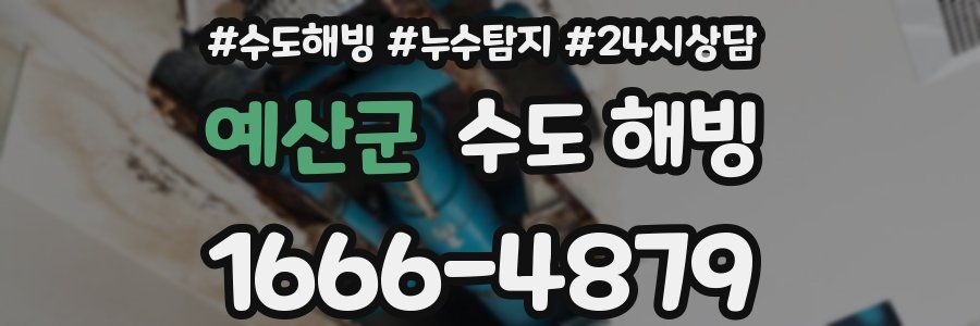 예산군 수도 해빙