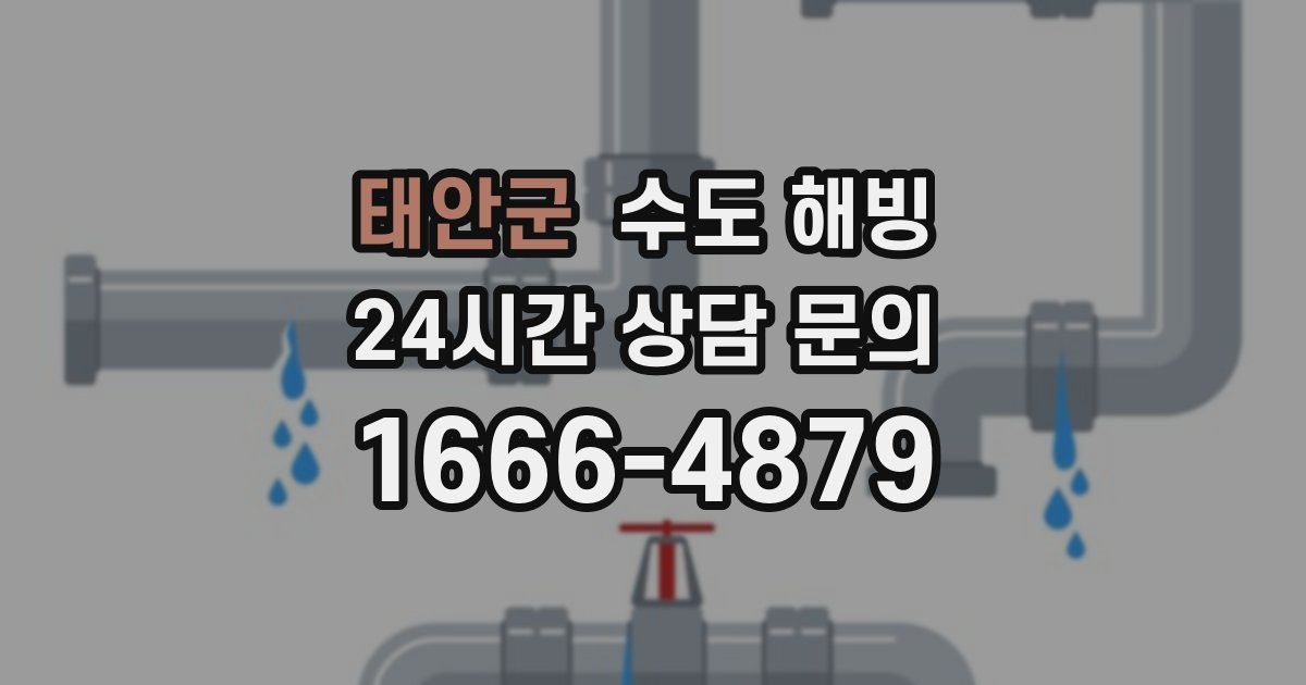 태안군 수도 해빙