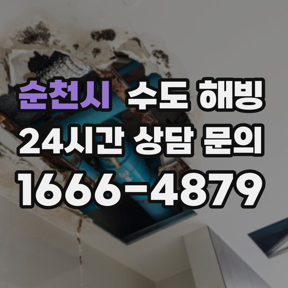 순천시 수도 해빙