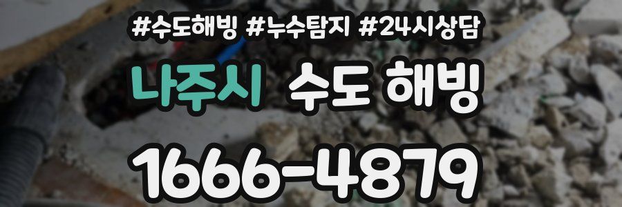 나주시 수도 해빙