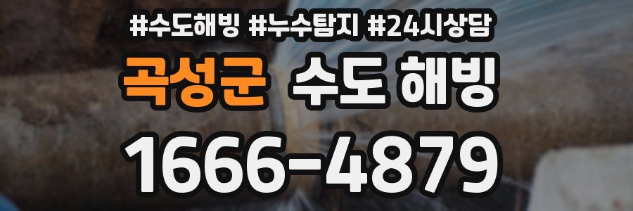 곡성군 수도 해빙