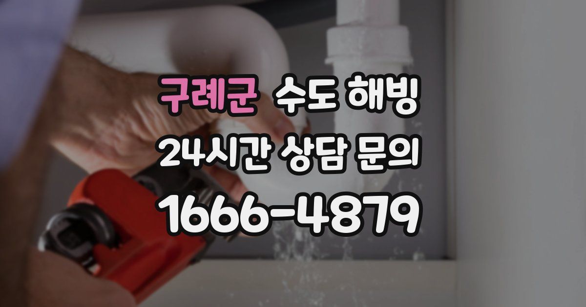 구례군 수도 해빙