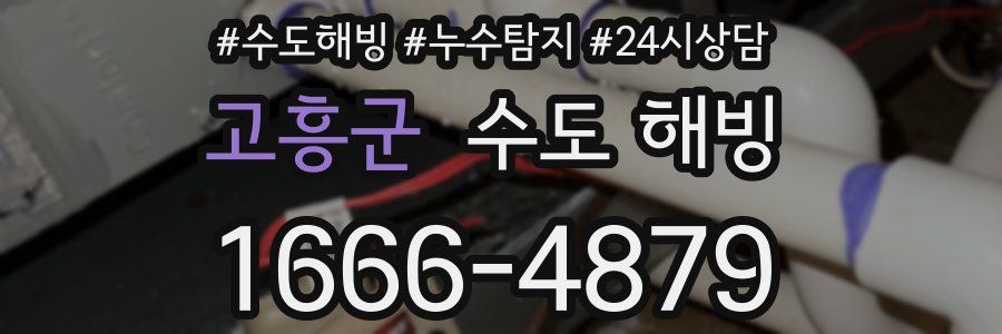 고흥군 수도 해빙