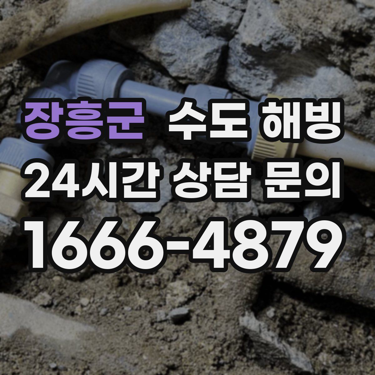 장흥군 수도 해빙