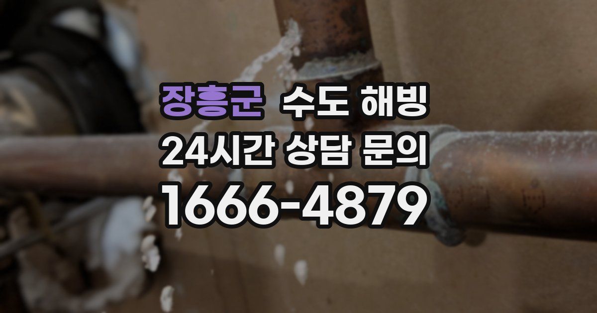 장흥군 수도 해빙