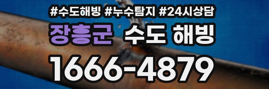 장흥군 수도 해빙