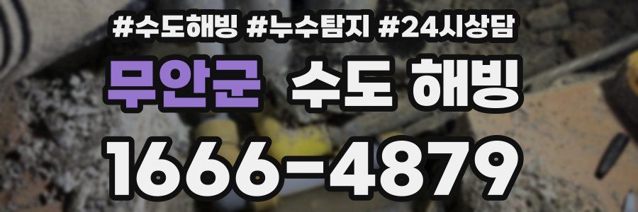 무안군 수도 해빙