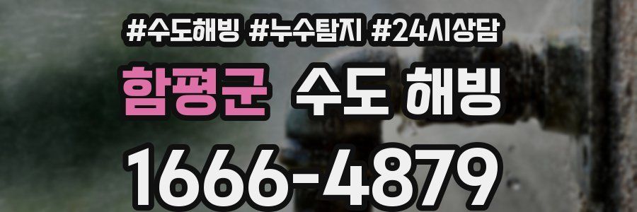 함평군 수도 해빙