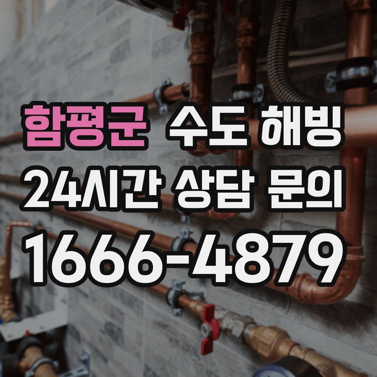 함평군 수도 해빙