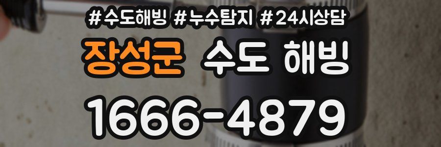 장성군 수도 해빙