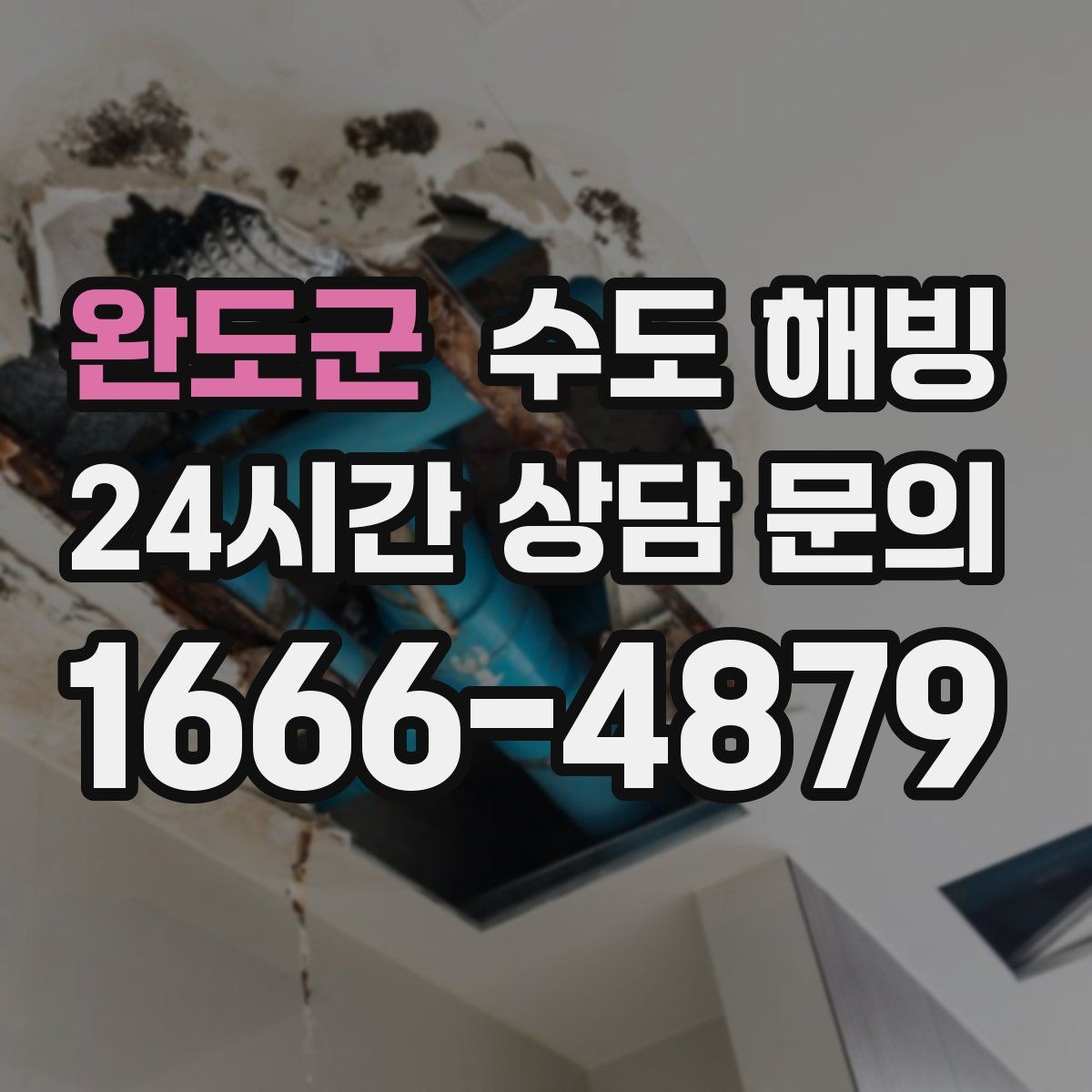 완도군 수도 해빙