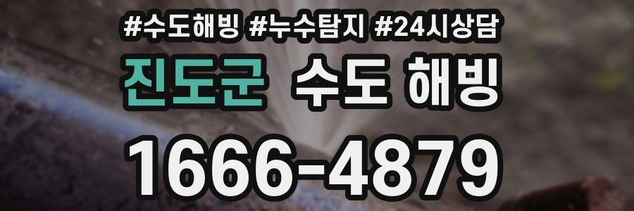 진도군 수도 해빙