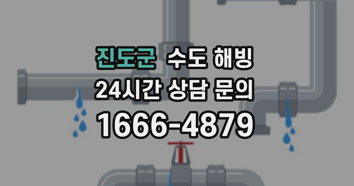 진도군 수도 해빙