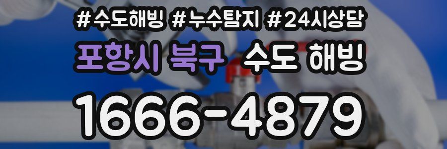 포항시 북구 수도 해빙