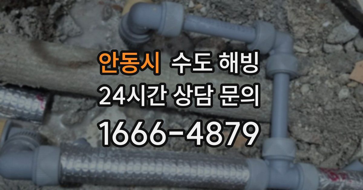 안동시 수도 해빙