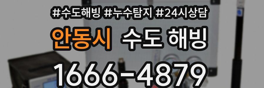 안동시 수도 해빙