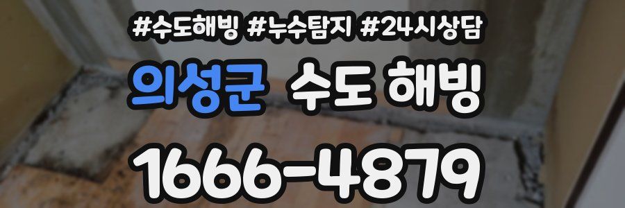 의성군 수도 해빙