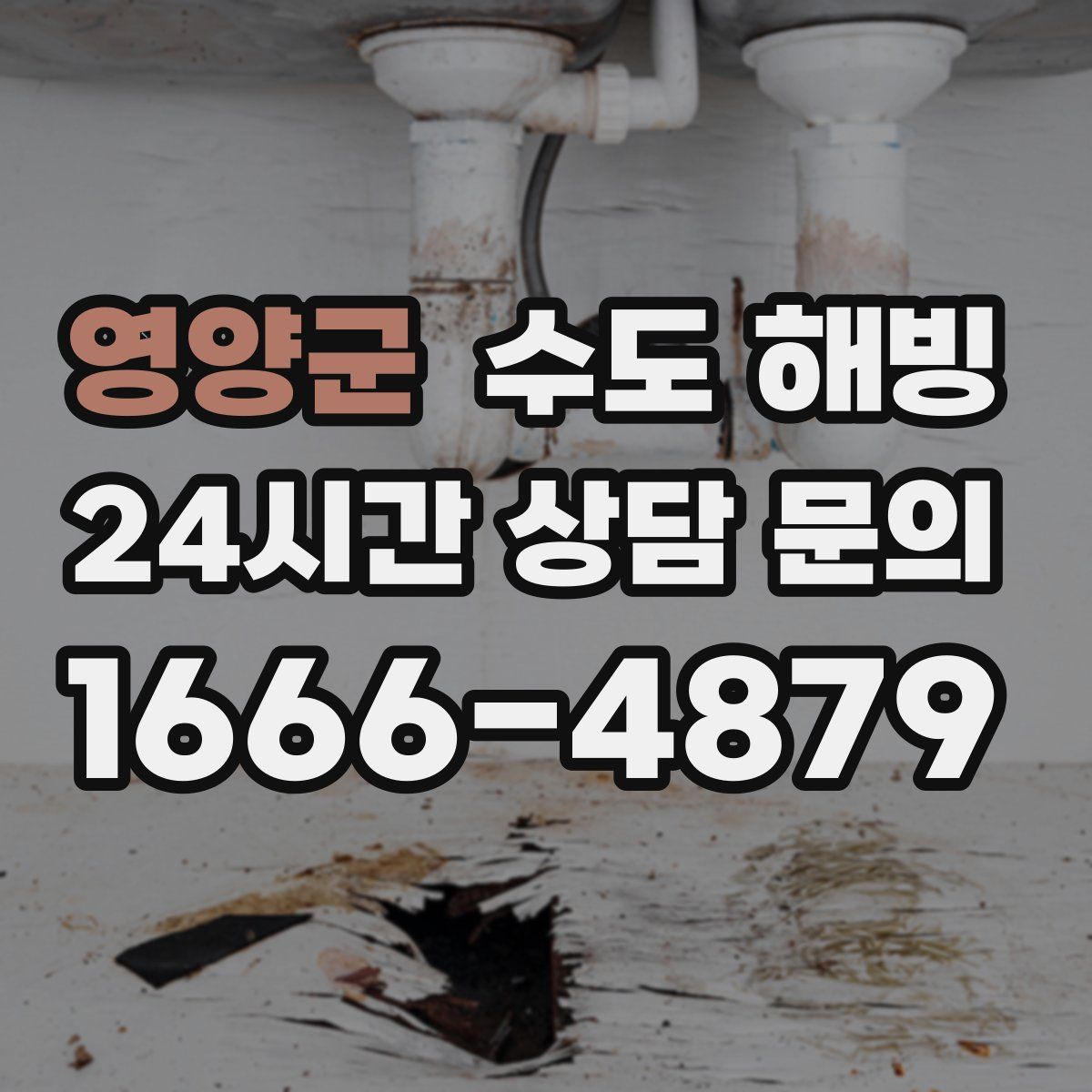 영양군 수도 해빙