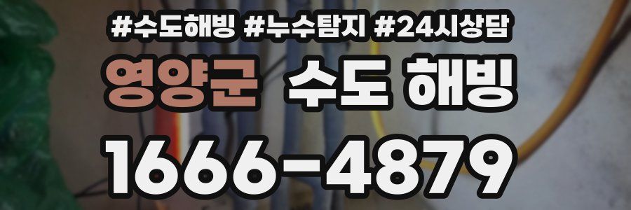 영양군 수도 해빙