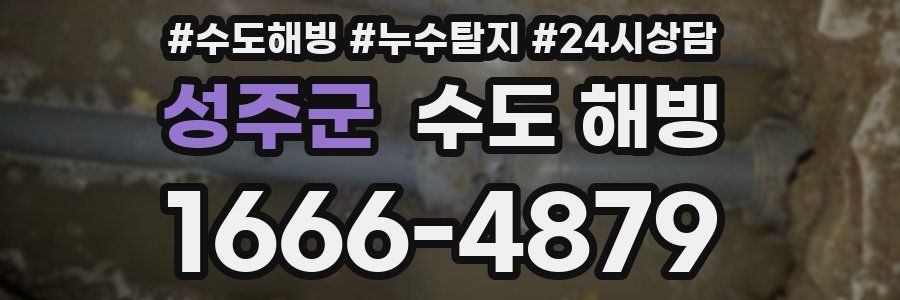 성주군 수도 해빙