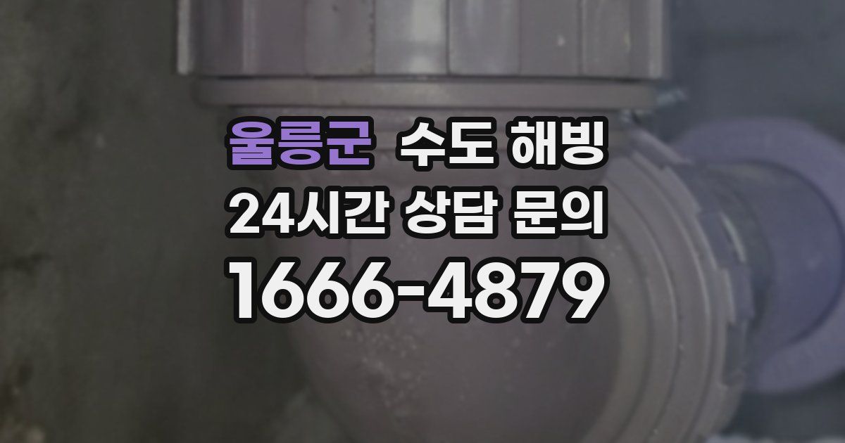 울릉군 수도 해빙