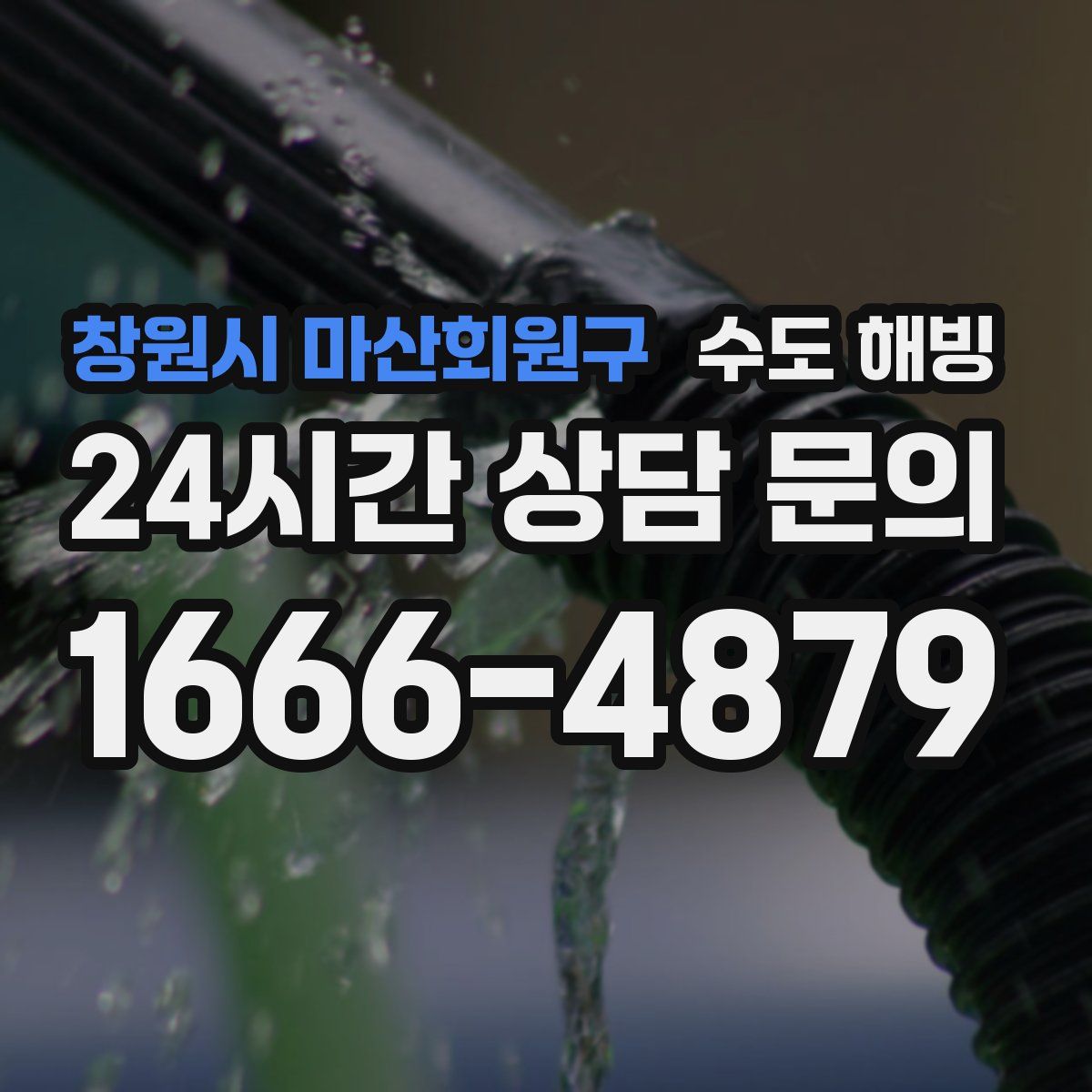 창원시 마산회원구 수도 해빙