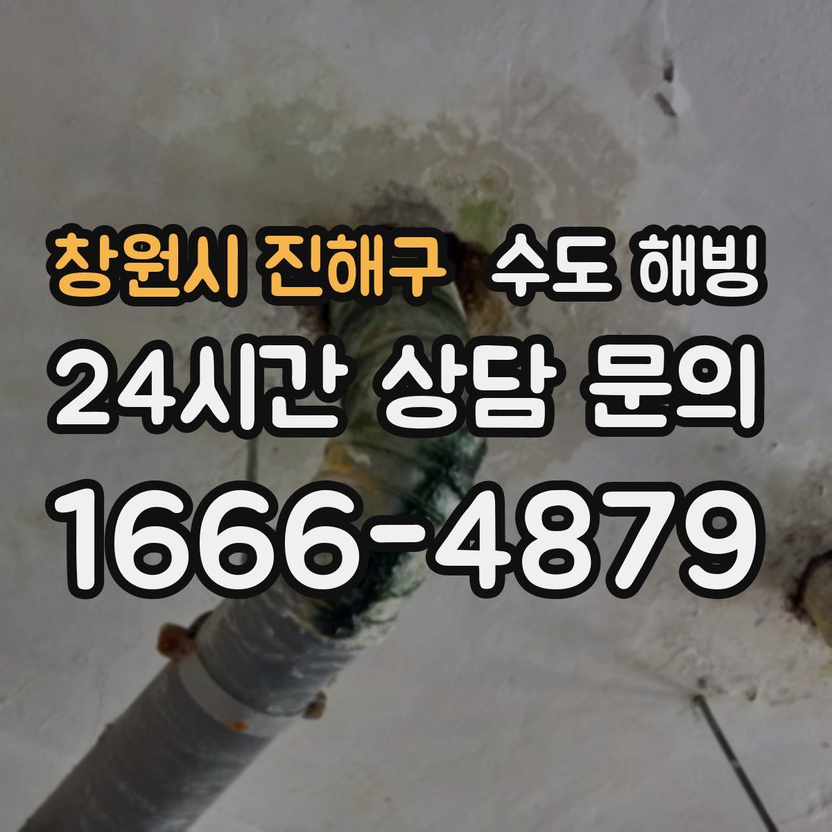 창원시 진해구 수도 해빙