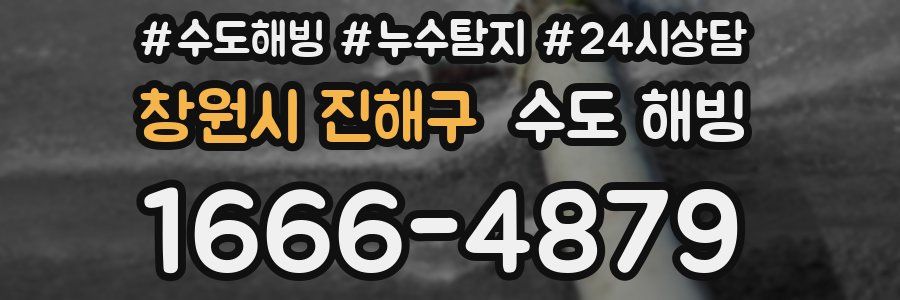 창원시 진해구 수도 해빙