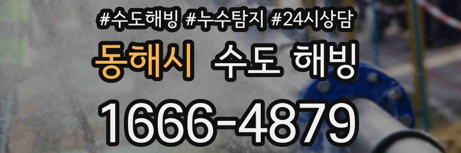 동해시 수도 해빙