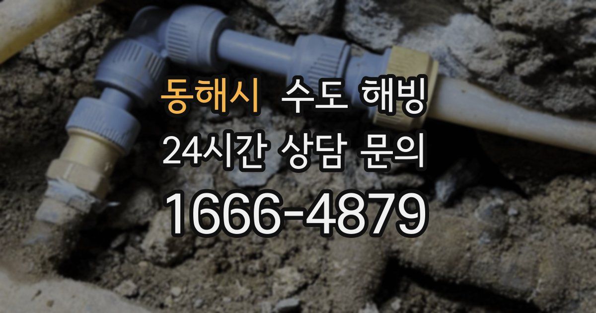 동해시 수도 해빙