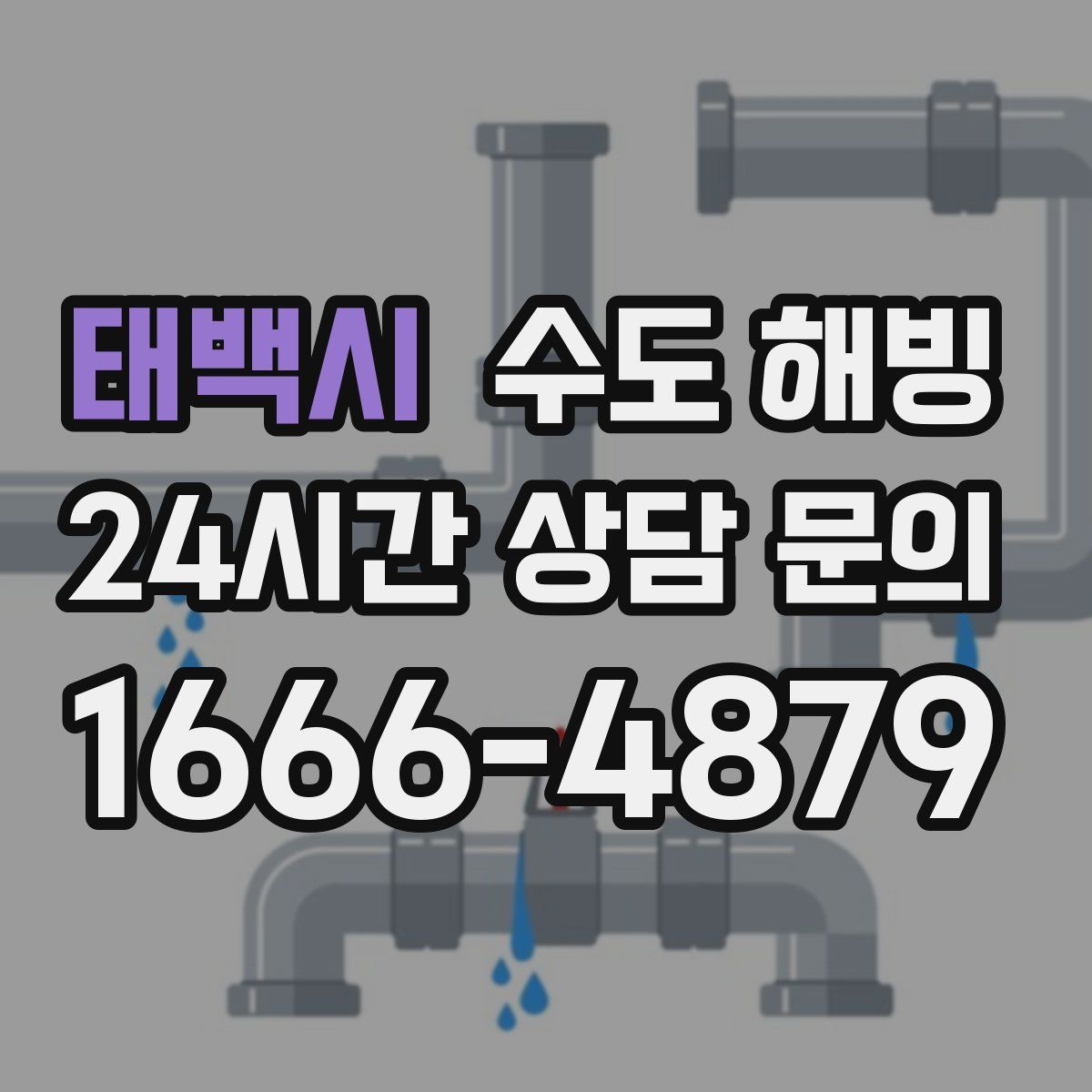 태백시 수도 해빙