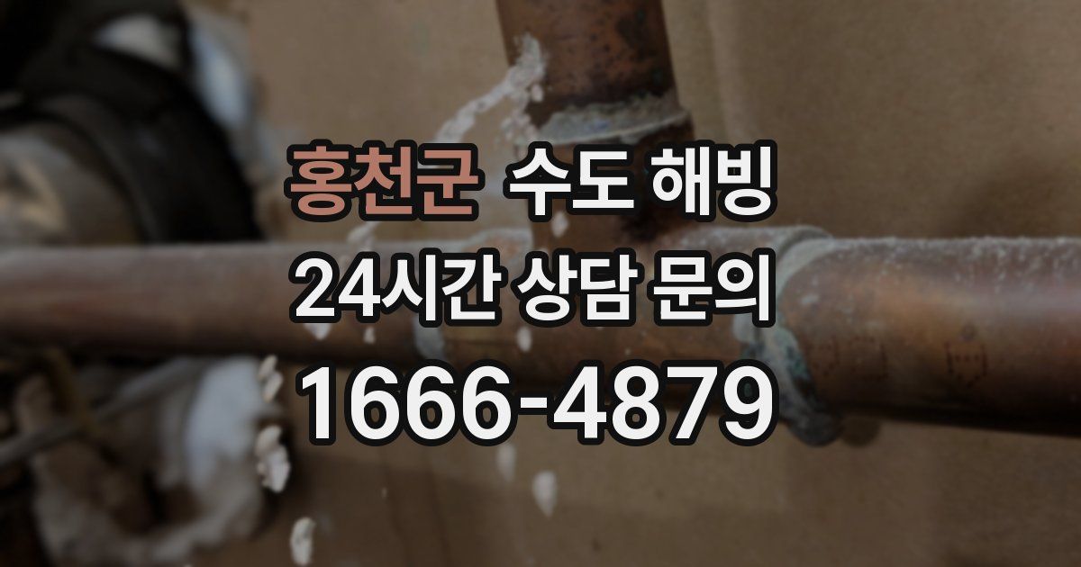 홍천군 수도 해빙