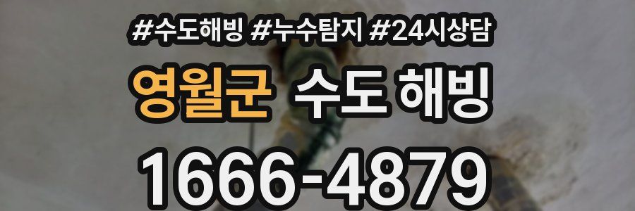 영월군 수도 해빙